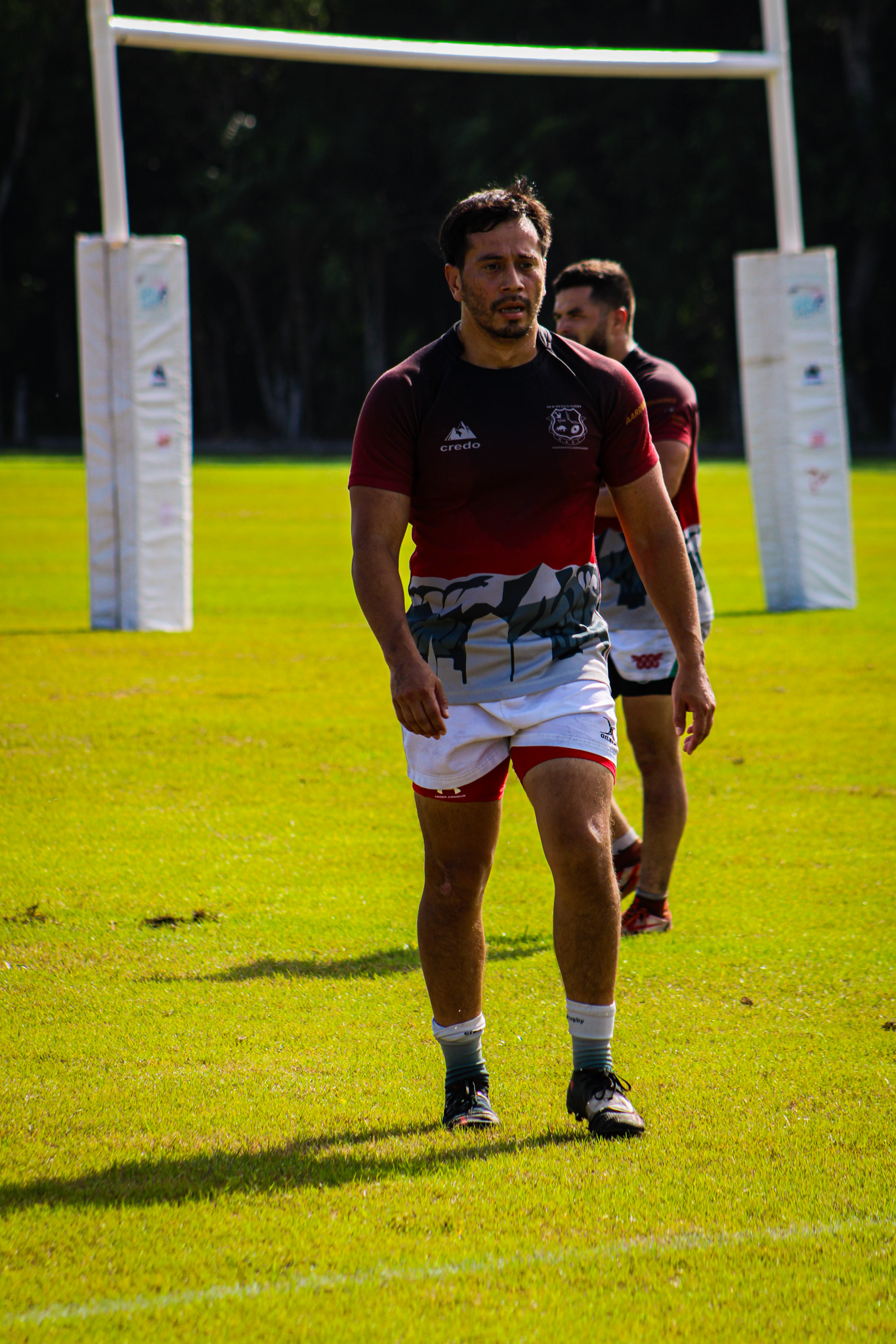Aardvarks in action 2