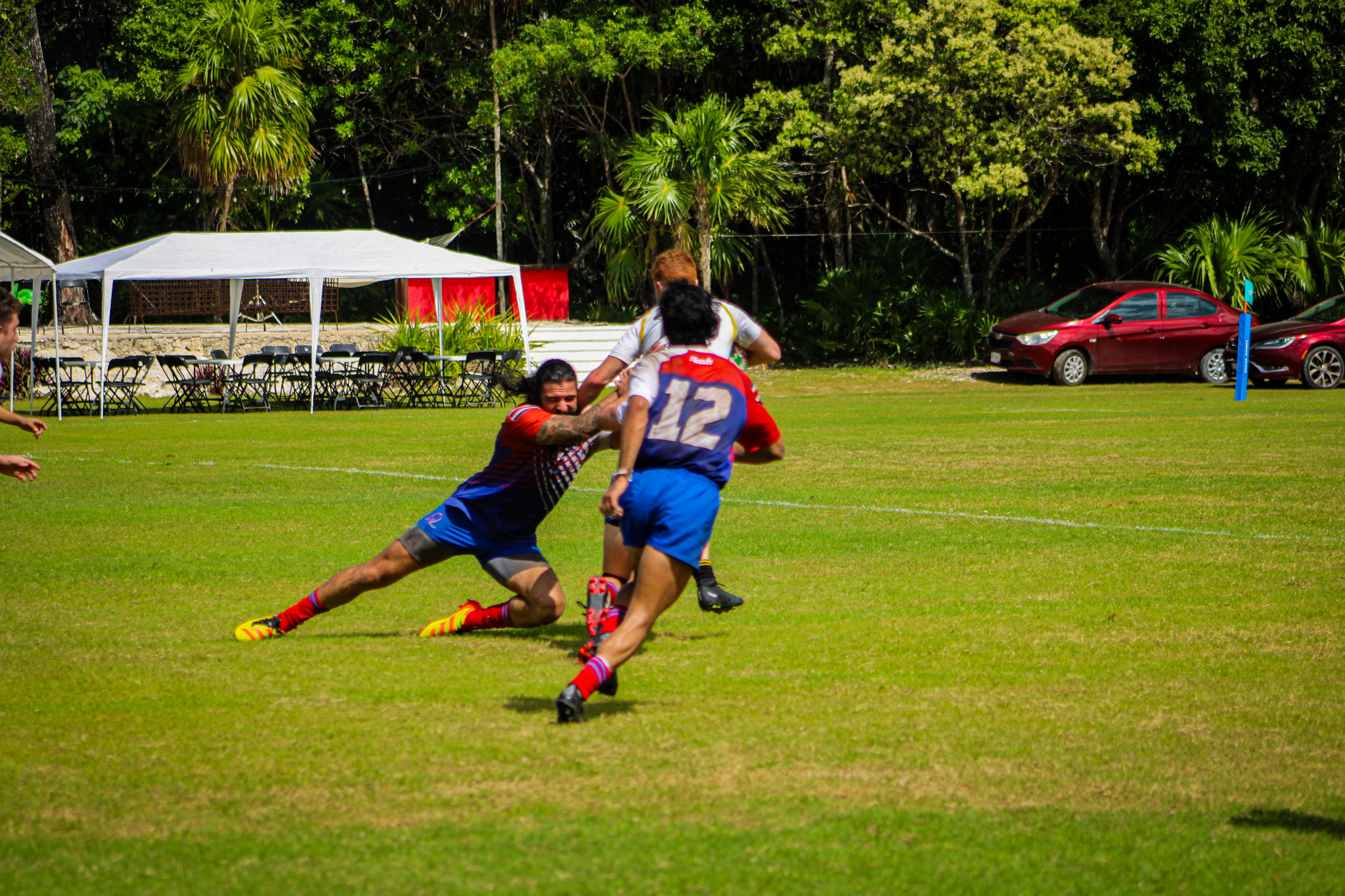 Aardvarks in action 14