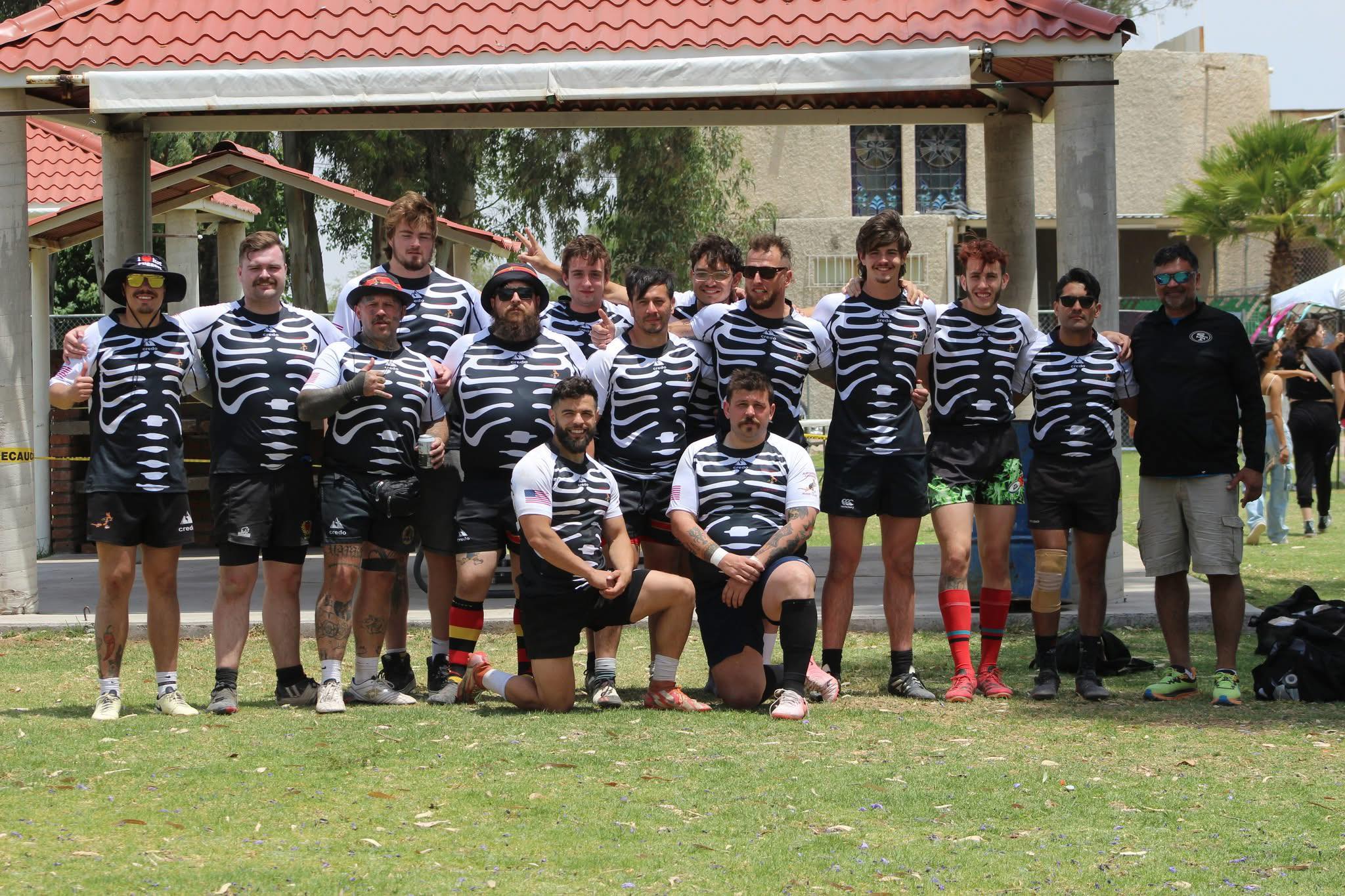 Aardvarks in action 14