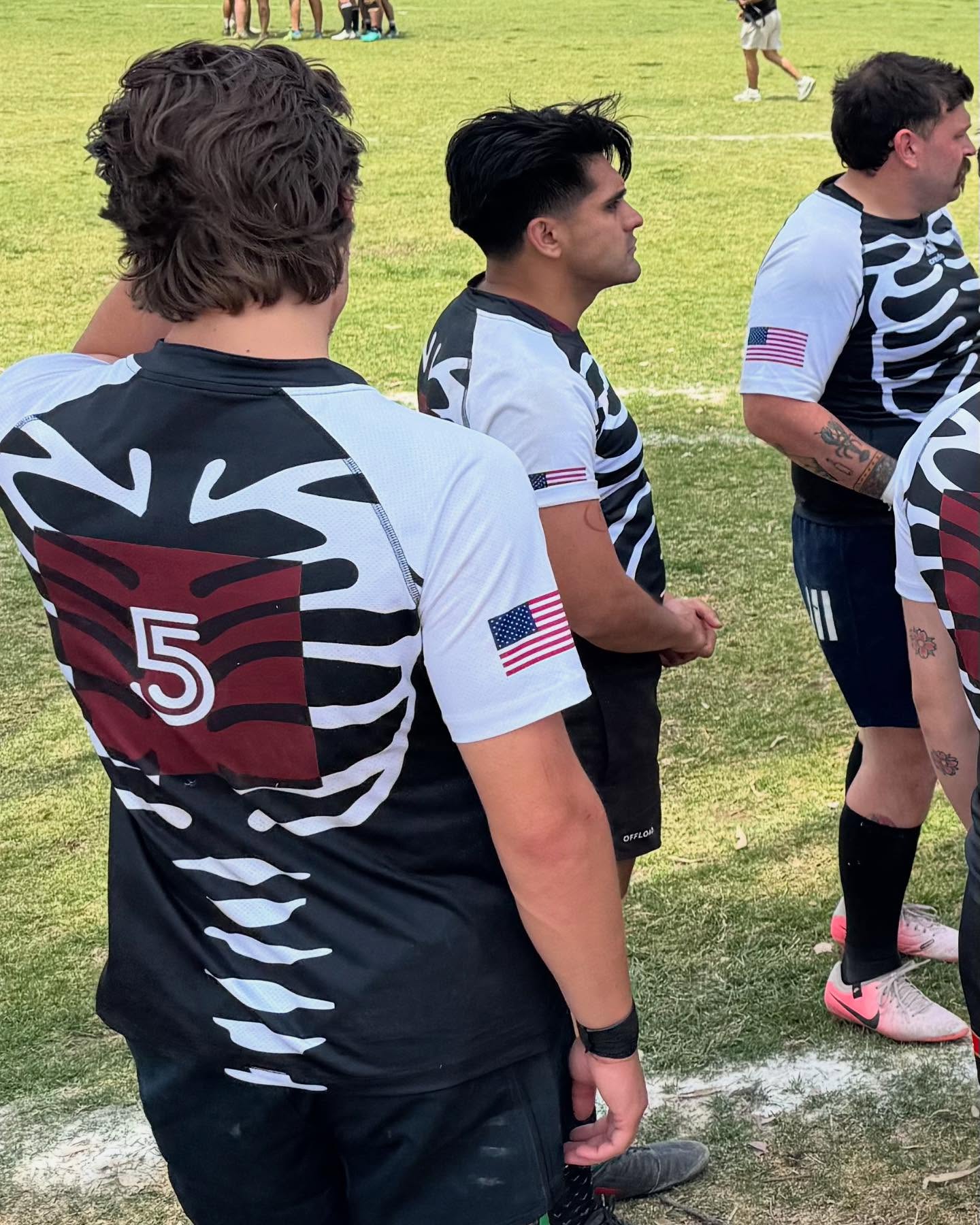 Aardvarks in action 14