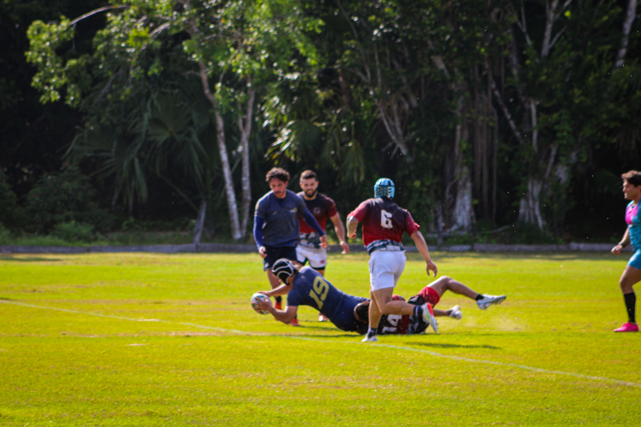 Aardvarks in action 3