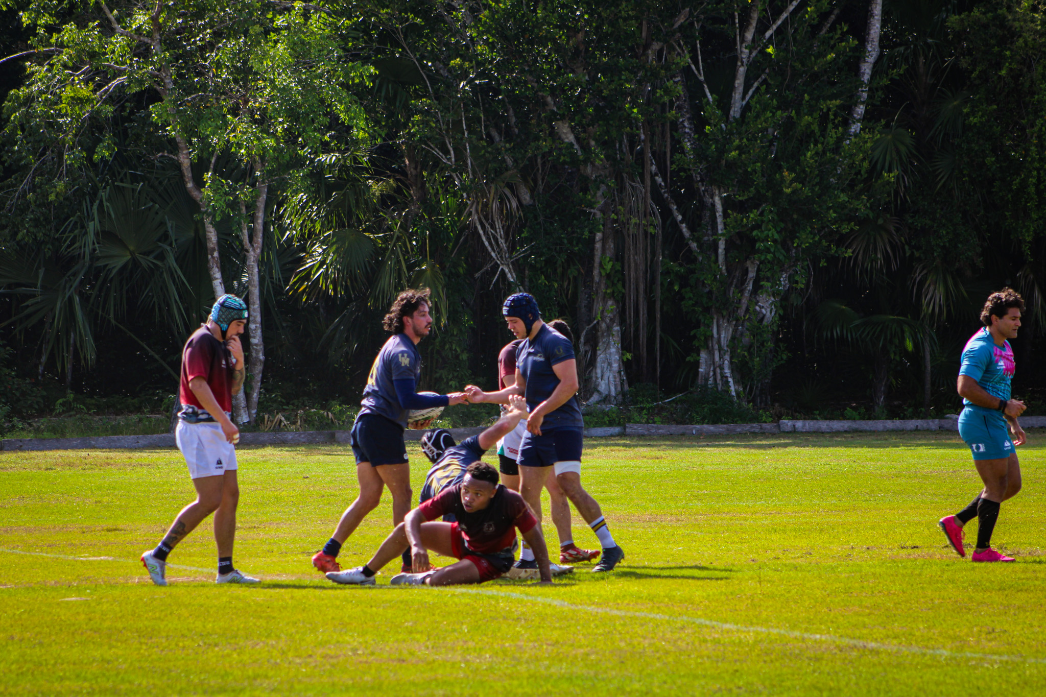 Aardvarks in action 4