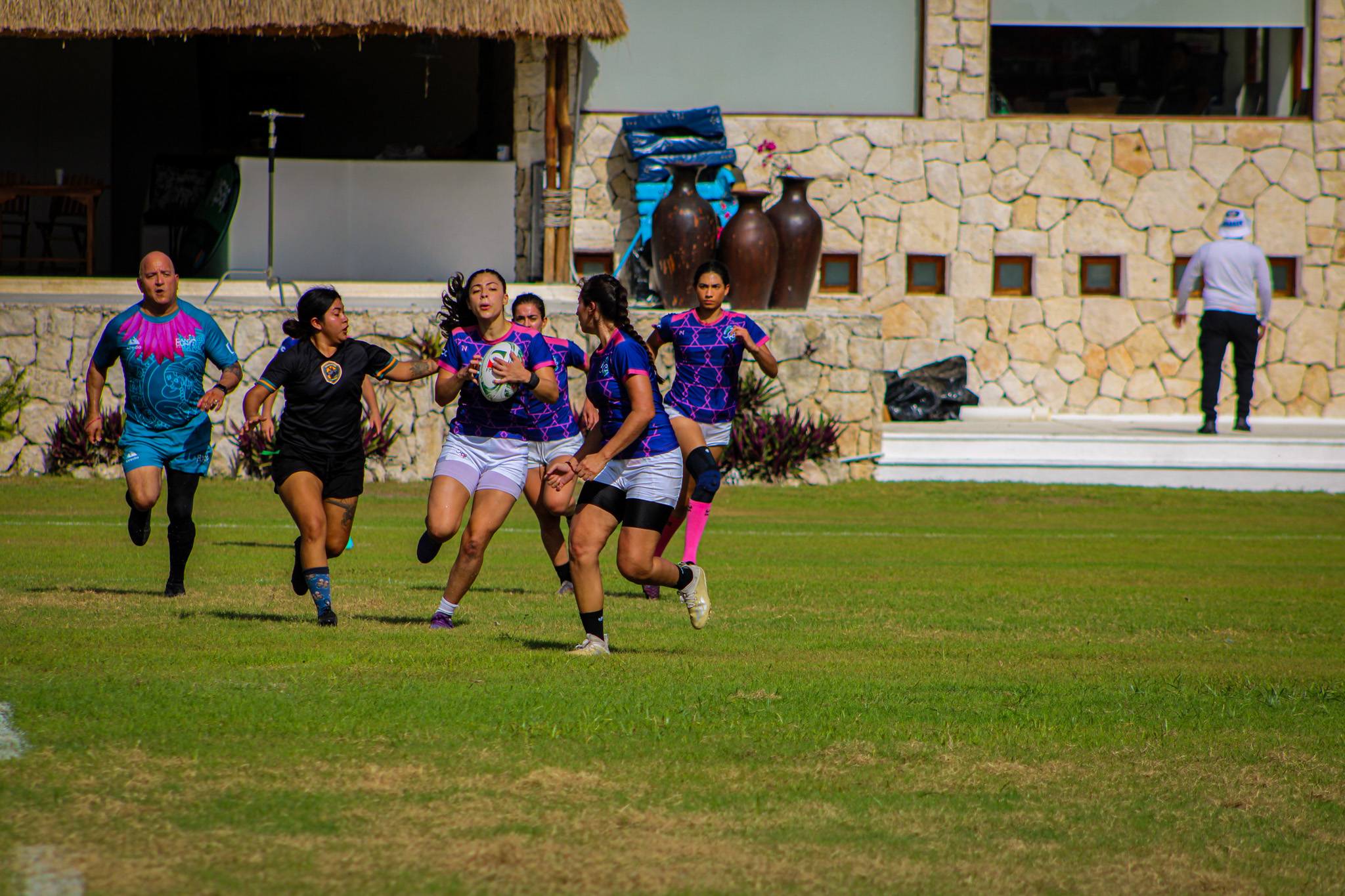 Aardvarks in action 6