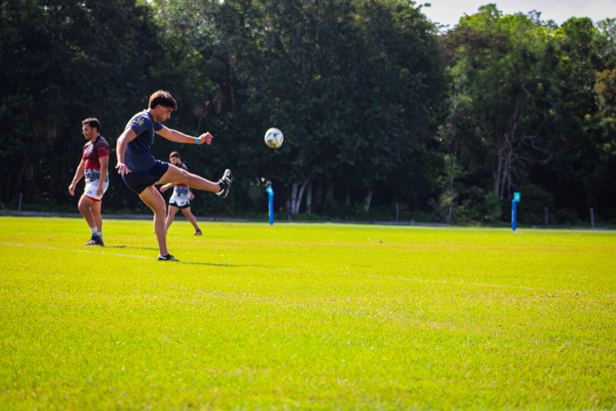 Aardvarks in action 7