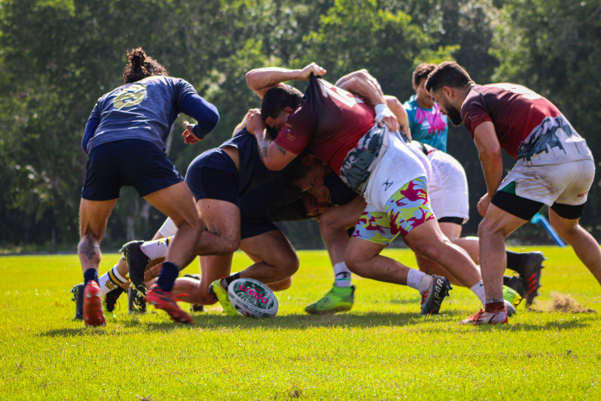 Aardvarks in action 9