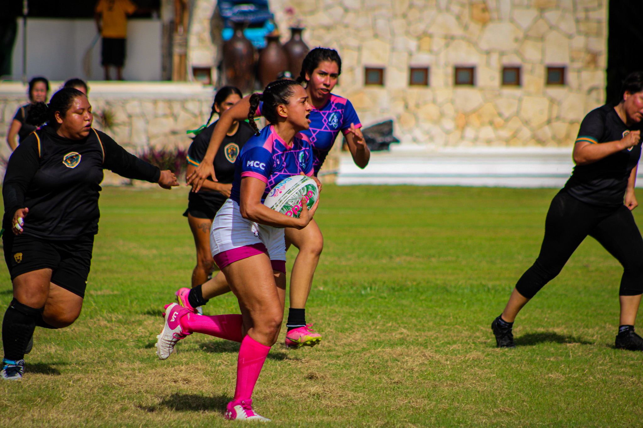 Aardvarks in action 10