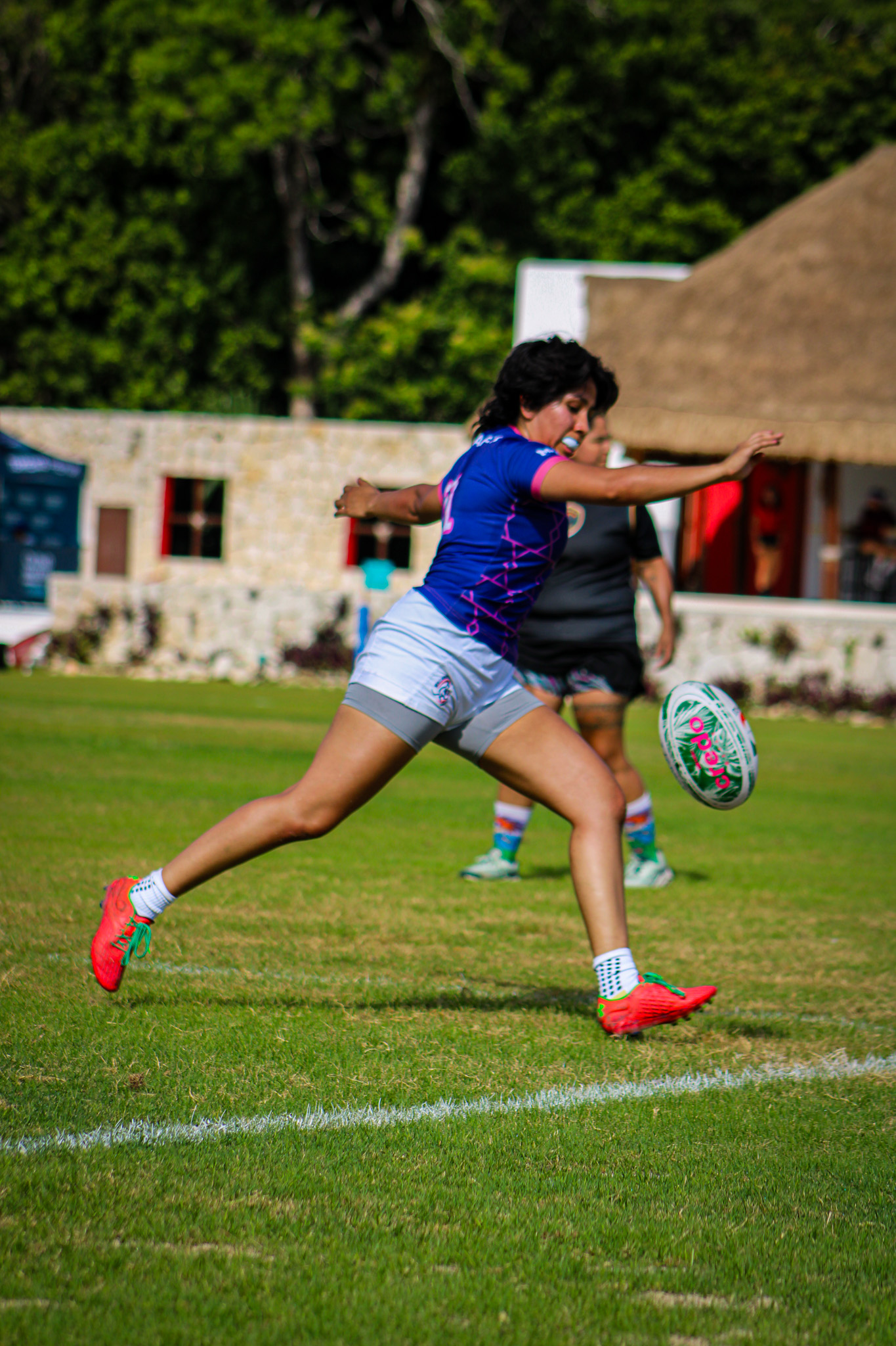Aardvarks in action 11